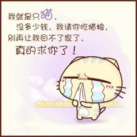 可爱猫咪的经典语录头像