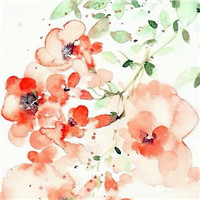 手绘插画图片头像
