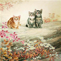 手绘猫咪图片头像图片