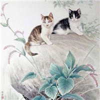 手绘猫咪图片头像图片