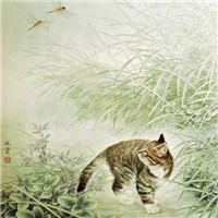 手绘猫咪图片头像图片