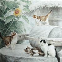 手绘猫咪图片头像图片