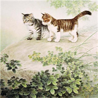手绘猫咪图片头像图片