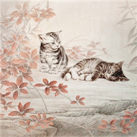 手绘猫咪图片头像图片