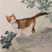 手绘猫咪图片头像图片