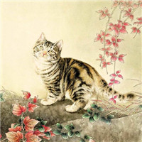 手绘猫咪图片头像图片