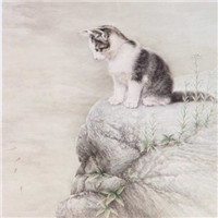 手绘猫咪图片头像图片