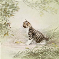 手绘猫咪图片头像图片