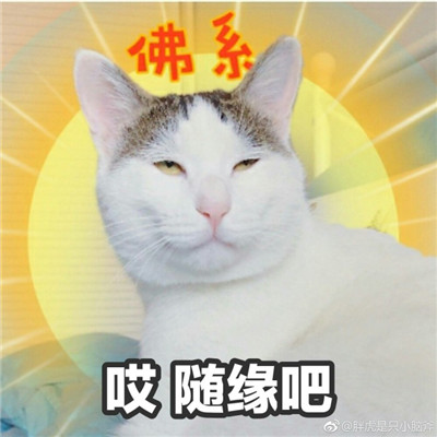 佛系少女头像图片精选