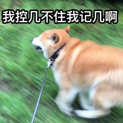 非常好看的情侣头像