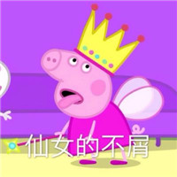 社会猪头像