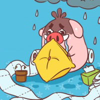 小猪滚滚头像