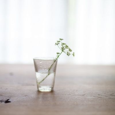 能带来好运的微信头像简单清新