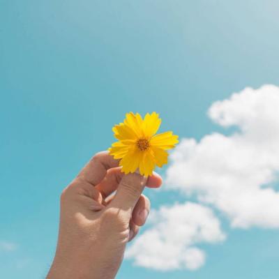 适合夏天的简单小清新的静物微信头像