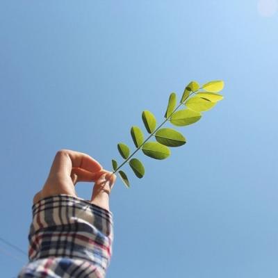 适合夏天的简单小清新的静物微信头像