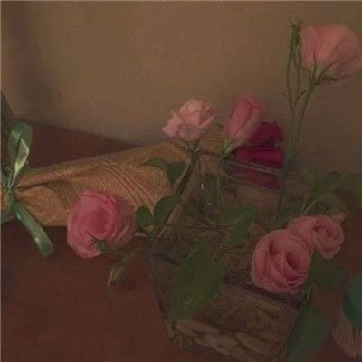 简单清新带字微信头像