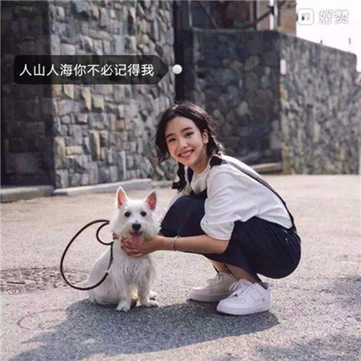 微信简约唯美文字头像图片最新