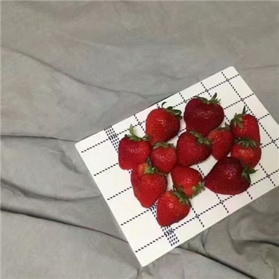 有逼格的微博微信头像高清