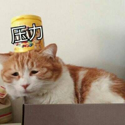 微信搞笑的包情包头像带文字的