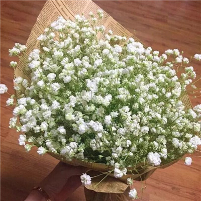 微信唯美满天星头像图片