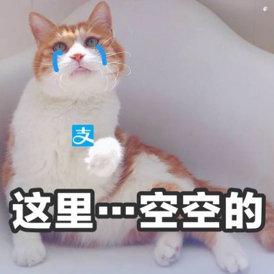 最新微信搞笑头像图片带字