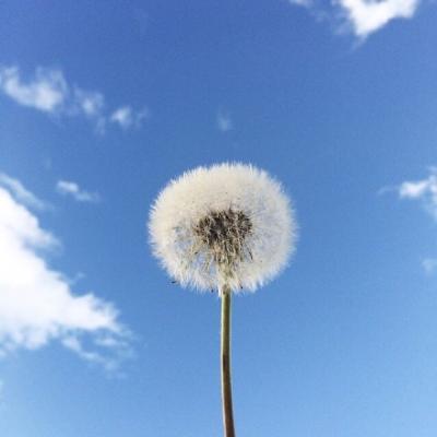 简约高清微信风景头像唯美好看