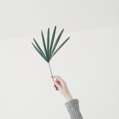 女生招桃花的微信风景头像