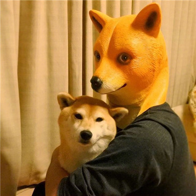 柴犬微信头像高清猥琐搞笑