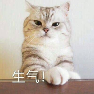 最火最搞笑的动物头像带字