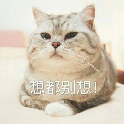 最火最搞笑的动物头像带字