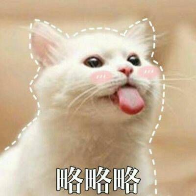 最火最搞笑的动物头像带字