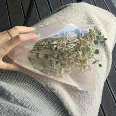 简约招桃花风景微信头像唯美