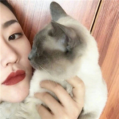微信头像女生头像抱宠物女神范