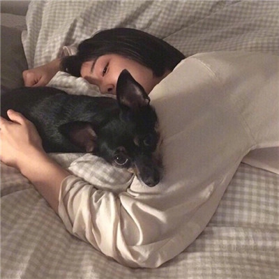 微信头像女生头像抱宠物女神范
