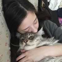 微信意境头像图片大全女生版