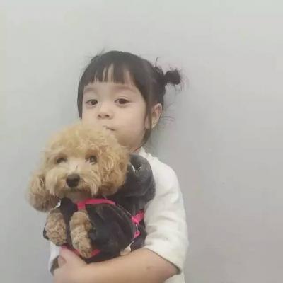 可爱漂亮的美少女萌娃微信头像