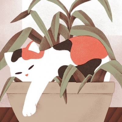 插画分享 猫咪 Jeannie Phan