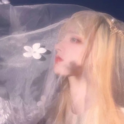婚纱女头：玻璃晴朗 橘子辉煌 一颗星星刹住车 照亮了你我
