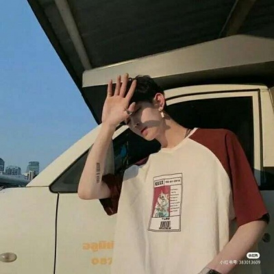 半脸优质男头
