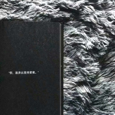 莫小昕 极简风格头像