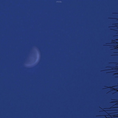 客桥:蓝色系风景静物头像