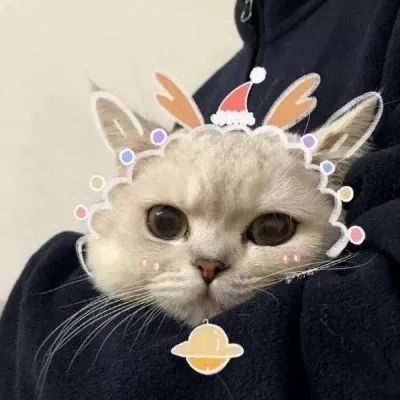 情头头丫~