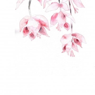 水墨画/看清这个世界，然后爱它。
