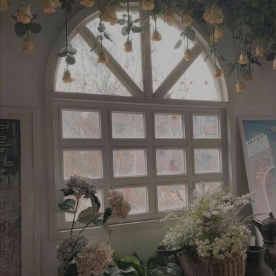 白灏宇:风景静物头像/唯美/花朵/家居/平安喜乐，得偿所愿