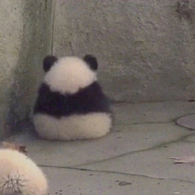 林弦 可爱熊猫头像