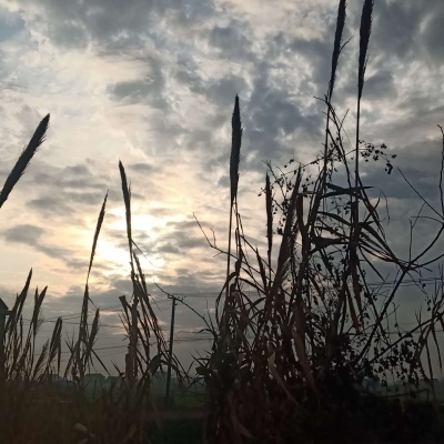 皆是我所认为美丽的风景....