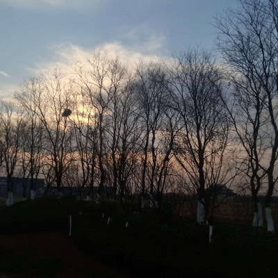 皆是我所认为美丽的风景....