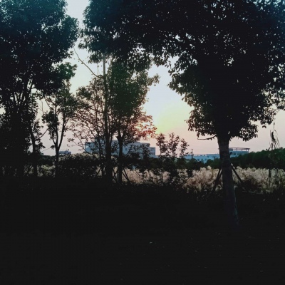 皆是我所认为美丽的风景....