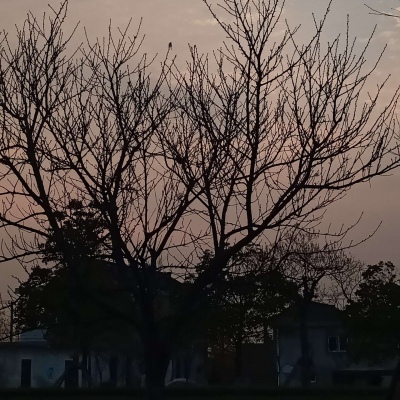 皆是我所认为美丽的风景....