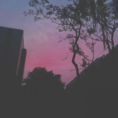 皆是我所认为美丽的风景....